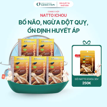 TPBVSK Combo Viên Uống Bổ Não, Ngừa Đột Quỵ Tai Biến, Giúp Ngủ Ngon Nattokinase 3000FU Natto Ichou Genki Fami Nhật Bản