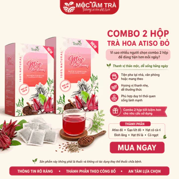 Combo 2 Hộp Trà Hoa Atiso Đỏ 25 Gói – Trà Túi Lọc Thảo Mộc Gạo Lứt Đỏ, Hạt Cỏ Cà Ri, Đinh Lăng, Dễ Pha Dễ Uống