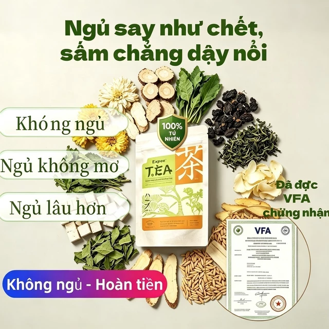 Trà thảo mộc 9 vị Expce T.E.A Hỗ trợ thanh nhiệt, giảm mỡ máu, tăng cường trao đổi chất, hỗ trợ tiêu hóa