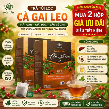 Trà Cà Gai Leo Hộp 30 Gói [Chính Hãng Cao Cấp] Trà túi lọc cà gai lẹo xạ đen mát gan tốt cho người sử dụng bia rượu