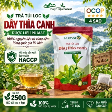 Trà túi lọc dây thìa canh Dược liệu Pù Mát 250g nguyên liệu Rừng Quốc gia Pù Mát