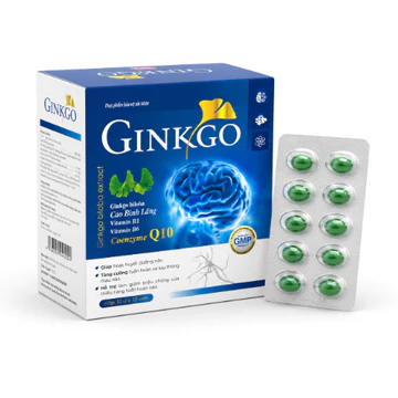 Ginkgo biloba HOẠT HUYẾT DƯỠNG NÃO bổ sung dưỡng chất cho não giảm đau đầu chóng mặt ngủ không ngon Ginkgo biloba 240mg