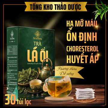 Trà Lá Ổi - TỔNG KHO THẢO DƯỢC cải thiện rối loạn tuần hoàn máu, ổn định huyết áp, cholesterol, ngừa đột quỵ bịch 30 lọc