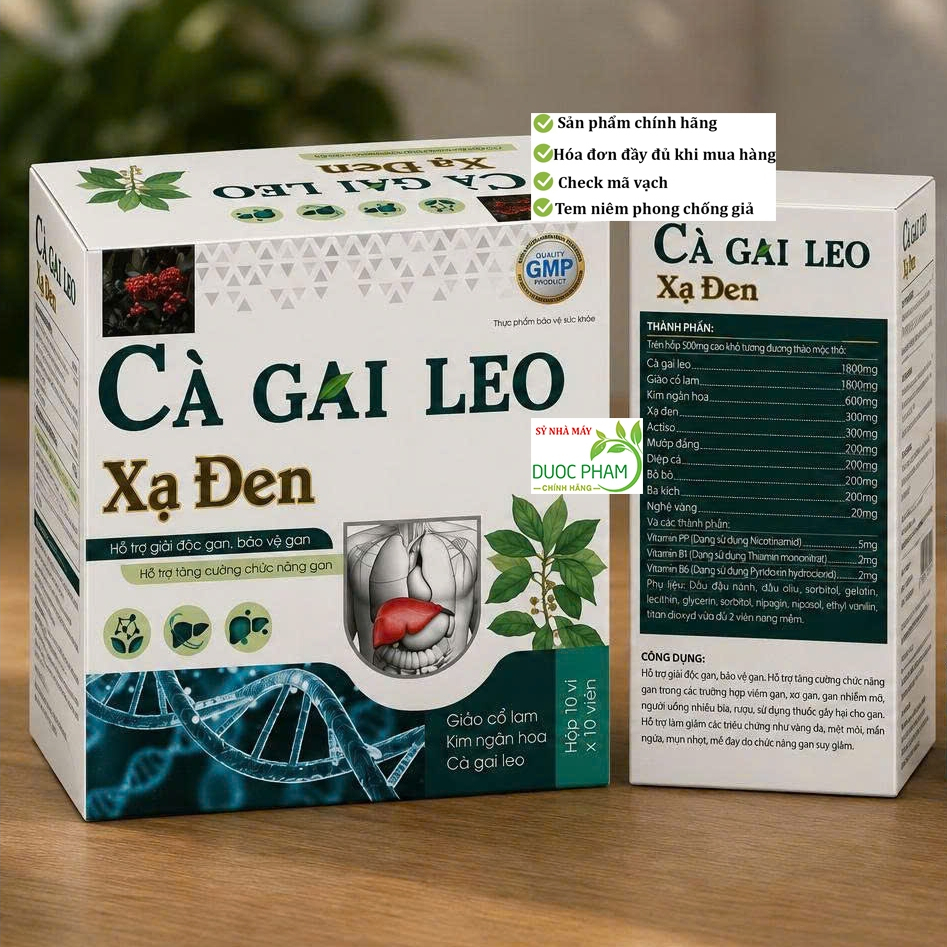 Viên uống Cà gai leo xạ đen giải độc gan vỉ 60 viên, giúp bổ gan, hạ men gan,