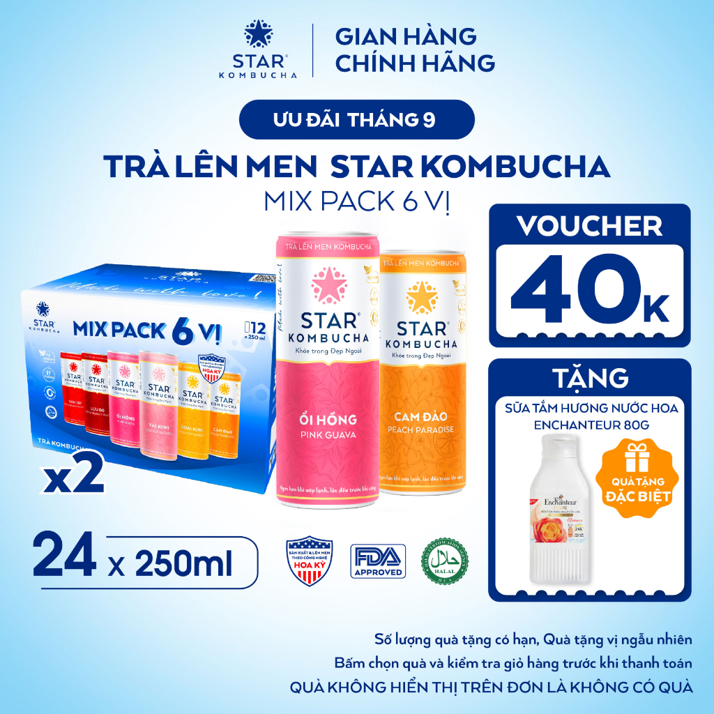 Combo 2 Thùng Trà Lên Men STAR KOMBUCHA Mix 6 Vị (24 Lon x 250ml) Thức Uống PROBIOTICS Tự Nhiên Từ Trà, SCOBY, Thảo Mộc