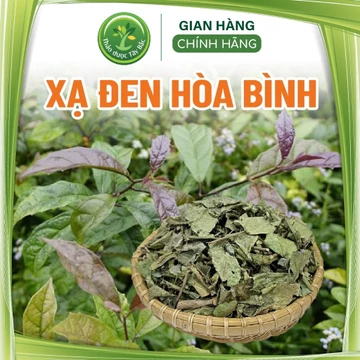 Xạ đen Hoà Bình chính hiệu, hàng lá cực đẹp, nhẹ thân, an tâm mỗi ngày, thanh lọc cơ thể, tinh thần thư thái