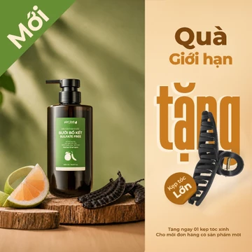 [Mới - Không Sulfate] Dầu gội Bưởi Bồ kết - Sulfate Free, dầu gội thảo dược dịu nhẹ, hỗ trợ mọc tóc Giọt Lành 500ml
