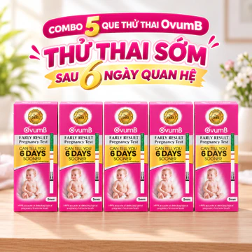 Combo 5 Que Thử Thai Sớm OvumB - Thử Thai Sau 6 Ngày Quan Hệ