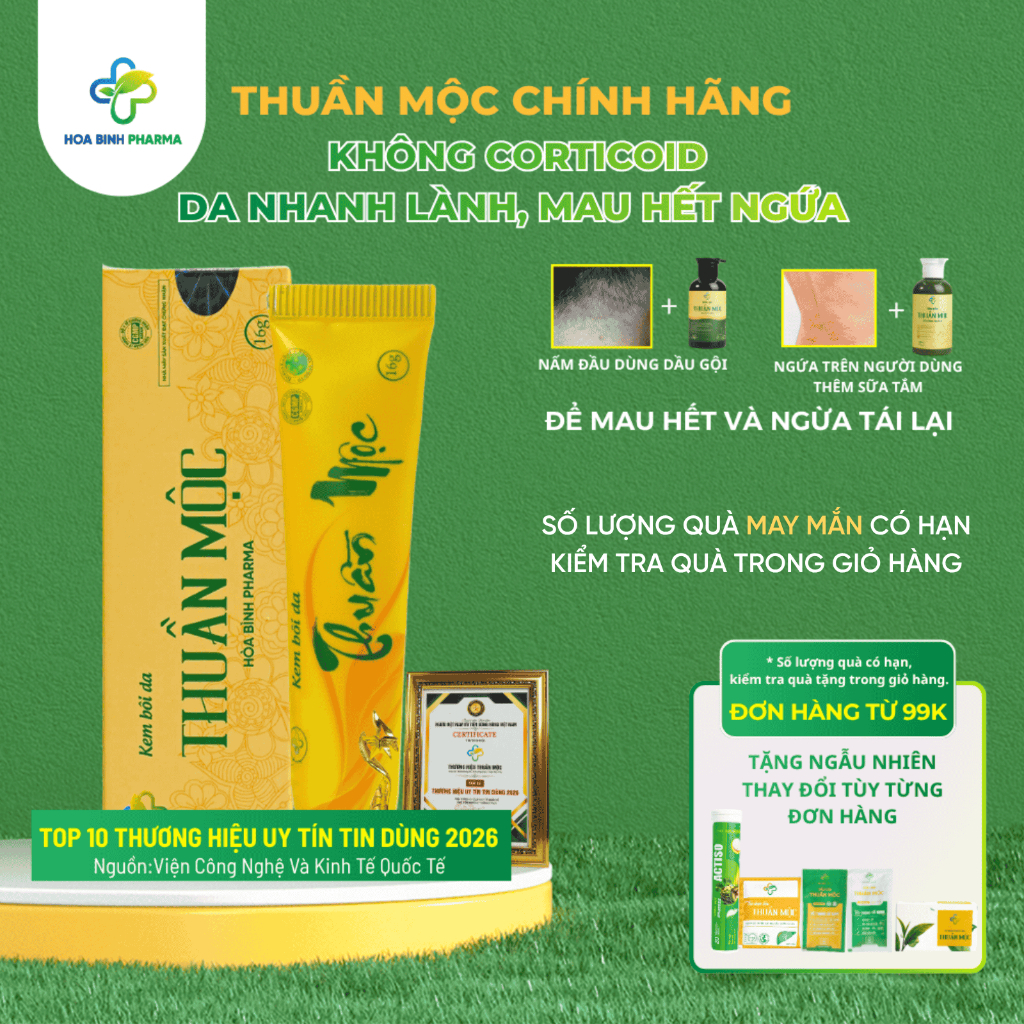 Kem Bôi Da Thuần Mộc Vàng Hòa Bình Pharma Bôi Mụn, Giảm Mẩn Ngứa, Rôm Sảy Tuýp 16g