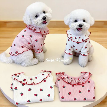 Mùa Xuân Thu Quần Áo Thú Cưng Dâu Mèo Quần Áo Quần Áo Chó Chống Rụng Tóc Ấm Quần Áo Mèo