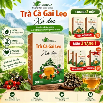 COMBO 2 HỘP - Trà Cà Gai Leo Xạ Đen HERBICA Được Làm từ 7 Loại Thảo Mộc Tự Nhiên