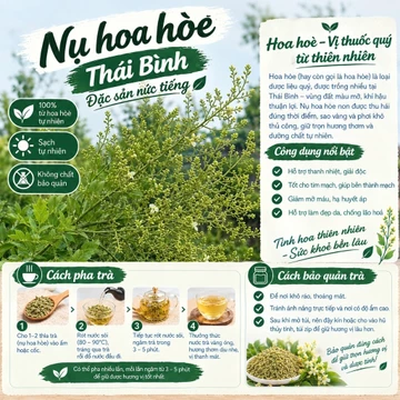 300g Nụ Hoa Hòe Thái Bình chuẩn gốc, vụ mới loại đẹp