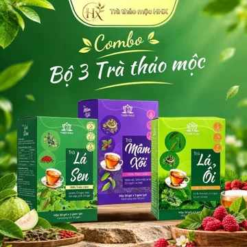 Combo 3 Trà Thảo Mộc HHX Túi Lọc | Trà Lá Ổi + Trà Lá Sen + Trà Mâm Xôi | 3 Vị Thanh Nhẹ Dễ Uống | 90 Túi Lọc