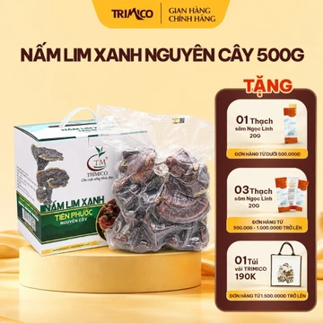 Nấm Lim Xanh Tiên Phước TRIMICO nguyên cây sấy khô 500g - Nấm Lim Xanh rừng tự nhiên, chất lượng