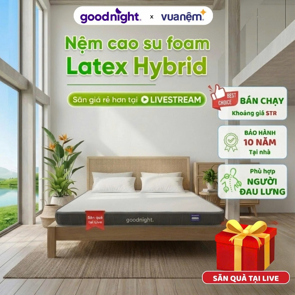 [SĂN QUÀ TẠI LIVE] Nệm Cao Su Foam Vua Nệm Goodnight Latex Hybrid 10cm, Nệm Gia Đình (Không phải đệm Cao Su Non)