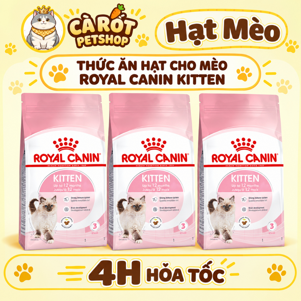 [13kg] Hạt Cho Mèo Con Royal Canin Kitten 36