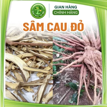 Sâm cau khô, sâm cau đỏ, sâm rừng Tây Bắc, 500 gr, thái lát, khô, sạch, thơm, nhiều công dụng tốt