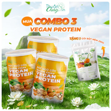 [COMBO 3 TẶNG BỘT NÊM 250G] Bột Ngũ Cốc Thuần Chay Vegan Protein 420g