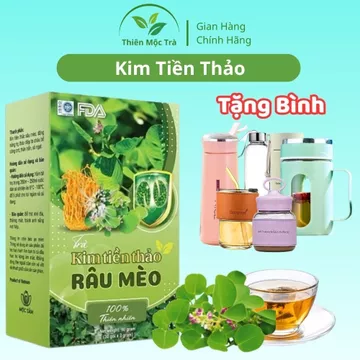 Trà Kim Tiền Thảo Râu Mèo Hộp 30 Túi Lọc (Tặng Bình) – Trà Thảo Mộc 5 Vị Kim Tiền Thảo, Râu Mèo, Diệp Hạ Châu