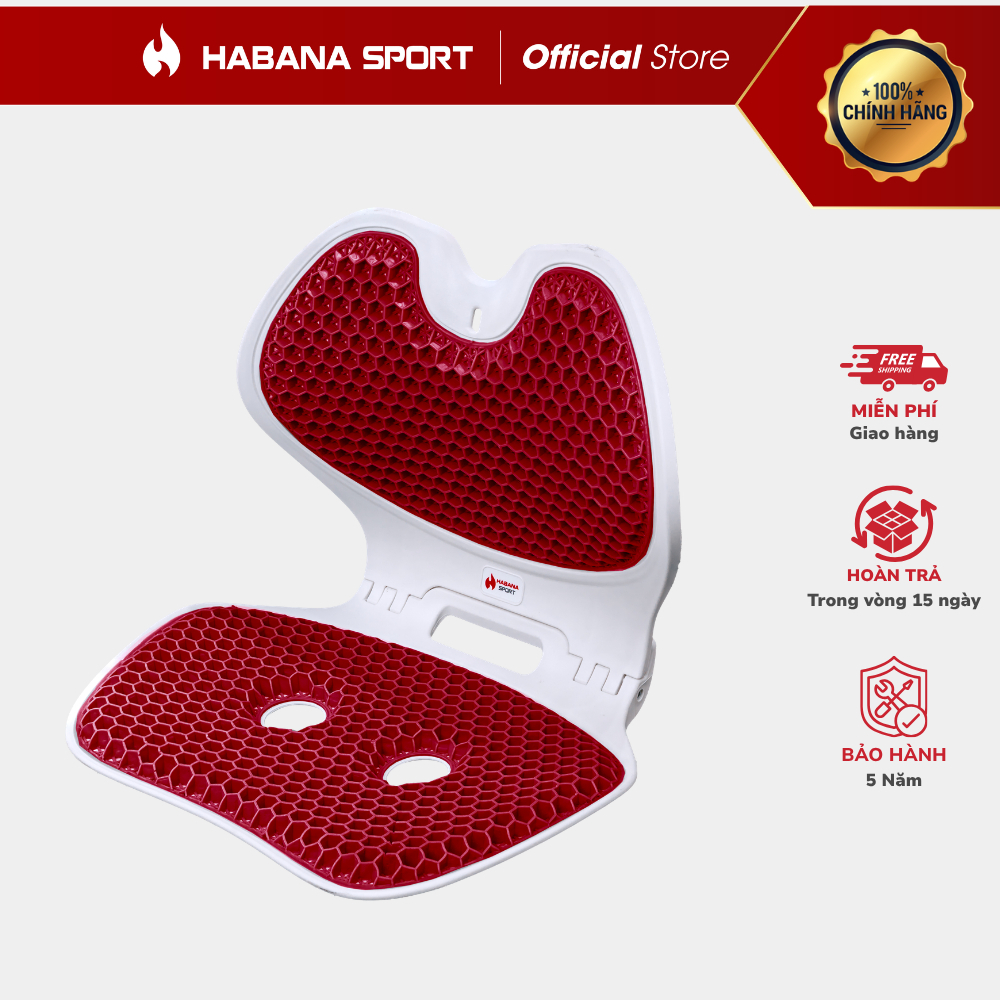[HABANA SPORT CHÍNH HÃNG] Ghế Chỉnh Dáng EGO Công Thái Học Gấp Gọn, Hỗ Trợ Cột Sống, Giảm Đau Mỏi.