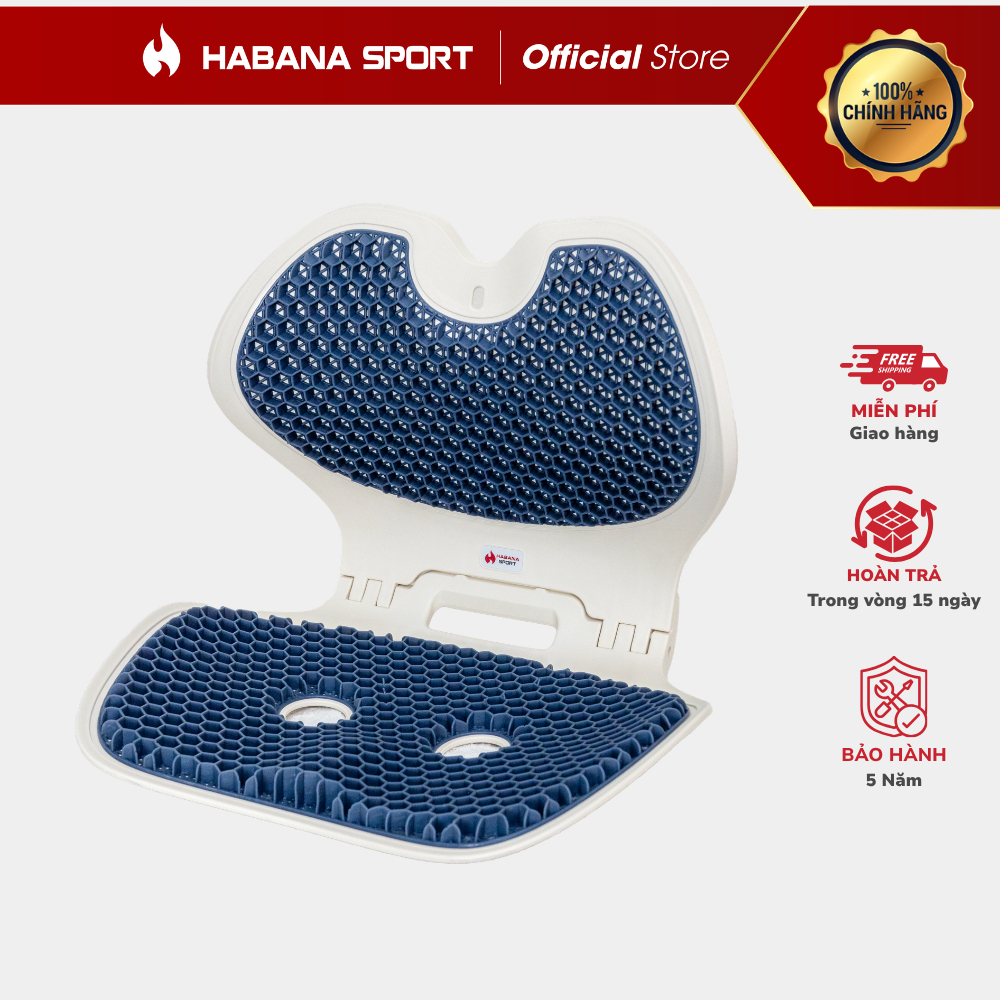 [HABANA SPORT CHÍNH HÃNG] Ghế Chỉnh Dáng EGO Công Thái Học Gấp Gọn, Hỗ Trợ Cột Sống, Giảm Đau Mỏi.