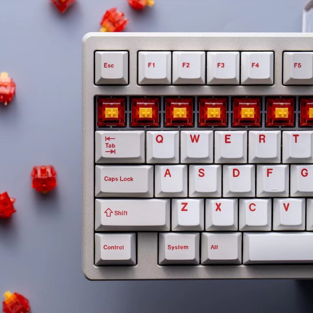 Switch MZ × Keygeek Y2 40gf | Linear Mượt | Housing PA12 | Waffle Stem Tip | Pre-lubed | 5 Pin | BigBuy360 - bigbuy360.vn