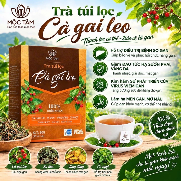 Trà túi lọc cà gai leo - an xoa - xạ đen mát gan, thanh lọc cơ thể thơm ngon - hộp 30 gói