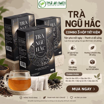 Combo 3 Hộp Trà Ngũ Hắc Túi Lọc 100g/Hộp – Gạo Lứt Đen 85%, Đậu Đen, Mè Đen, Hắc Kỷ Tử, Dâu Tằm
