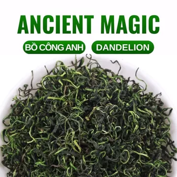 100g BỒ CÔNG ANH cuộn loại đẹp (Dandelion) | Trà thảo mộc - Spell / Witchcraft | Ancient Magic by Ly Hỏa