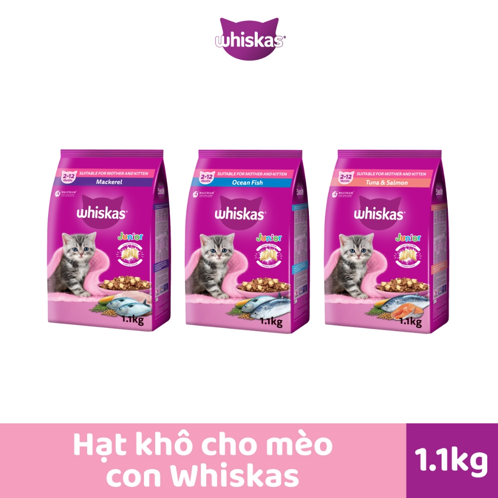 Thức ăn cho mèo con WHISKAS dạng hạt 1.1 kg.
