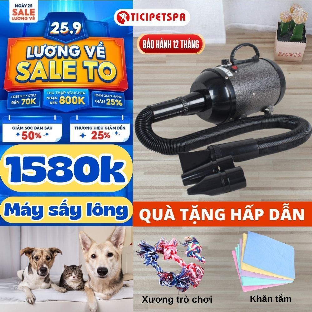 Máy Sấy Lông Chó, Sấy Mèo, Máy Sấy Công Nghiệp, Máy Sấy Lông Chó Mèo Công Suất Lớn 2800W, Máy Sấy Xe - TICIPET