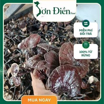 Nấm Cổ Cò Đen (Nấm Hắc Chi) Ngâm rượu + Quà Biếu - Nấm linh chi cổ cò rừng tự nhiên 1kg