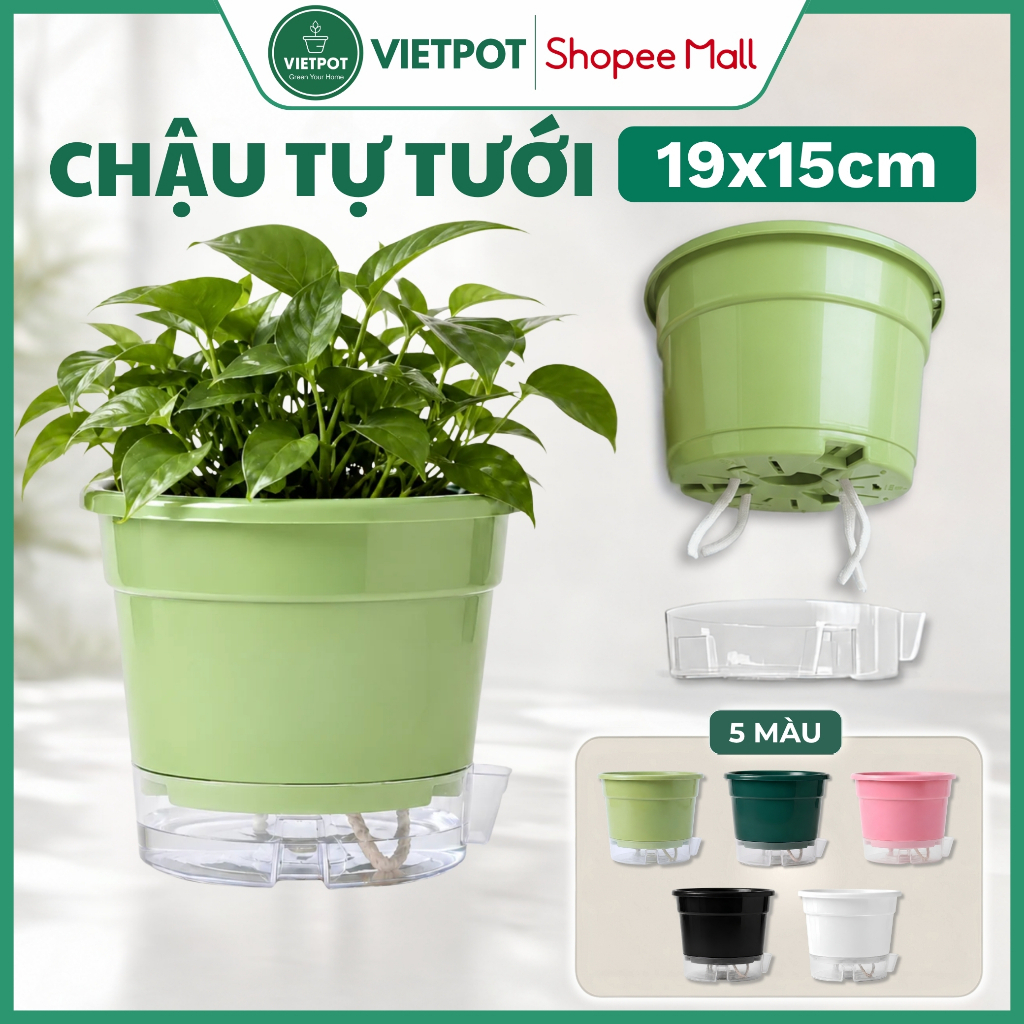 Chậu tự tưới Trơn, Vietpot, size 19x15cm, thông minh, trang trí nhà cửa, ban công, sân vườn.