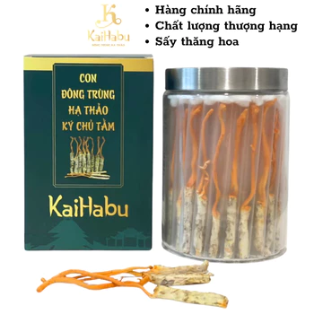100 CON - ĐÔNG TRÙNG HẠ THẢO KÝ CHỦ TẰM VIP1 KAIHABU,hỗ trợ tim mạch và huyết áp