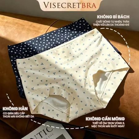 SET Quần Lót Boxer Nữ Cotton 10A Co Giãn Thoáng Khí Mỏng Mát Đáy Quần May Liền Mảnh Cạp Vừa Ôm Hông -- C-VN260301K