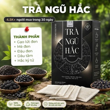 Trà Ngũ Hắc Premium - Trà Túi Lọc Gạo Lứt Đen Mè Đen Đậu Đen Dâu Tằm Hắc Kỷ Tử 100g