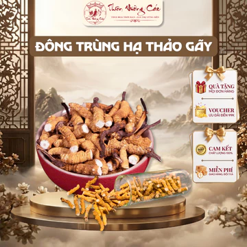 [Đông Trùng] 5 Gram Đông Trùng Hạ Thảo Bhutan Gãy Thượng Phẩm Tự Nhiên, Thực Phẩm Vàng Bồi Bổ Thể Trạng, Thiên Vương Các