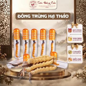 [Đông Trùng] Đông Trùng Hạ Thảo Bhutan Thượng Phẩm Tự Nhiên, Thực Phẩm Vàng Đông Trùng Nguyên Con, Thiên Vương Các
