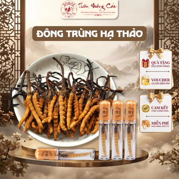 [Đông Trùng] Đông Trùng Hạ Thảo Tây Tạng Tự Nhiên Nguyên Con Thượng Phẩm, Đông Trùng Bồi Bổ Toàn Diện, Thiên Vương Các