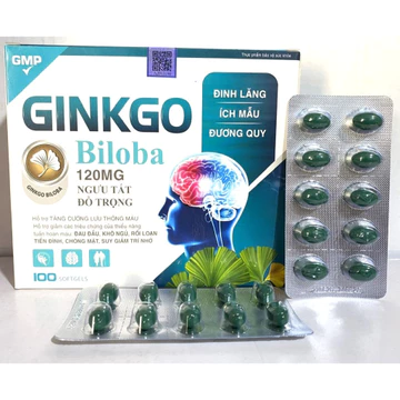 Ginkgo Biloba 120mg Bổ Sung Dưỡng Chất Cho Não đinh lăng hoạt huyết dưỡng não, gairm đau đầu chóng mặt, buồn nôn