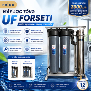 Máy Lọc Tổng UF Forseti Lắp Sẵn Khung Inox - Bộ Lọc Đầu Nguồn PP-UF, PP-CTO-UF Cho Chung Cư Căn Hộ