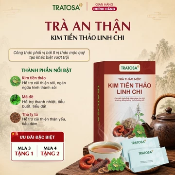 Trà An Thận Kim Tiền Thảo Linh Chi TRATOSA trà thảo mộc tốt cho người thận yếu, tiểu đêm, sỏi thận từ thiên nhiên