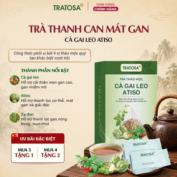 Trà Thanh Can Mát Gan Cà Gai Leo Atiso TRATOSA trà thảo mộc tốt cho gan, thanh nhiệt, giải độc an toàn từ thiên nhiên