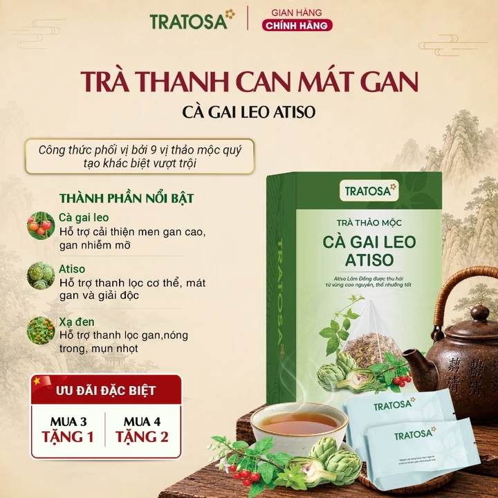 Trà Thanh Can Mát Gan Cà Gai Leo Atiso TRATOSA trà thảo mộc tốt cho gan, thanh nhiệt, giải độc an toàn từ thiên nhiên