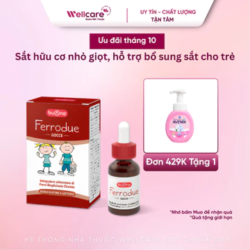 [CHÍNH HÃNG Ý ] Sắt 2 Hữu Cơ FERRODUE Bisglycinate Vị Dâu, Thơm Ngon Lọ 15ml Bổ sung sắt, giảm thiếu máu do thiếu sắt