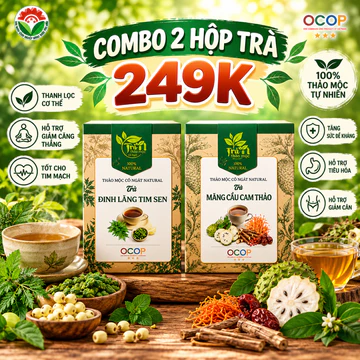 COMBO TRÀ 249K | Trà Mãng Cầu Cam Thảo Natural + Trà Đinh Lăng Tim Sen | Trà Thảo Mộc Tự Nhiên, Hương Vị Thanh Dịu