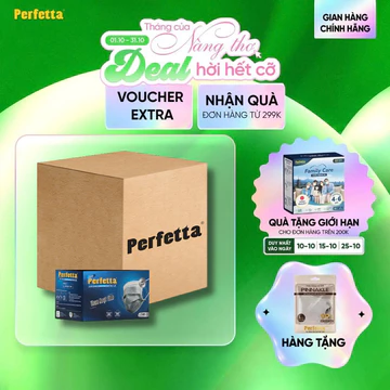 Thùng 400 Cái Khẩu Trang Y Tế Perfetta Carbon 4 Lớp Than Hoạt Tính Màu Xám