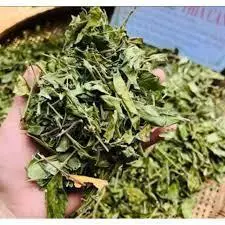 2KG Dây Thìa Canh Khô Tây Bắc – Dây Thìa Canh Sấy Khô Tự Nhiên, Dược Liệu Khô – Trai Bản Tây Bắc