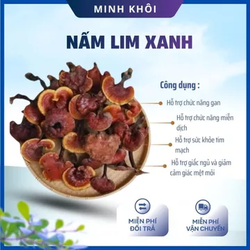 Nấm Lim Xanh Tây Bắc, Nấm linh chi, nấm cổ cò hàng chuẩn, hỗ trợ ung thư, viêm gan, u sơ ga