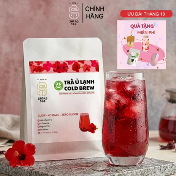 Combo Trà Cold Brew Hibiscus – Trà Xanh SACHSTEA -Trà Ủ Lạnh Mát & Lành mùa Thu Đông Không Đường, Không Calo 20 túi lọc